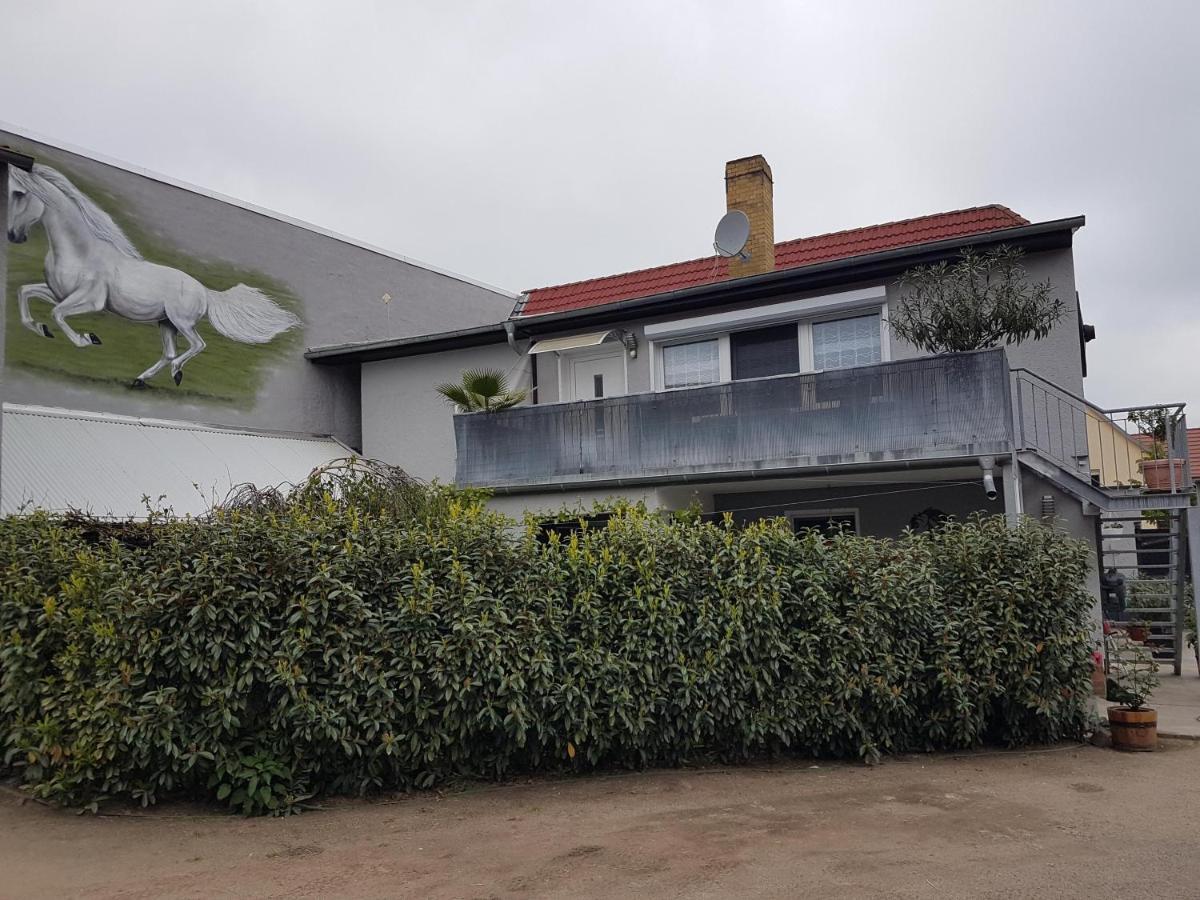 Pferdepension Jaeger Markranstädt Buitenkant foto