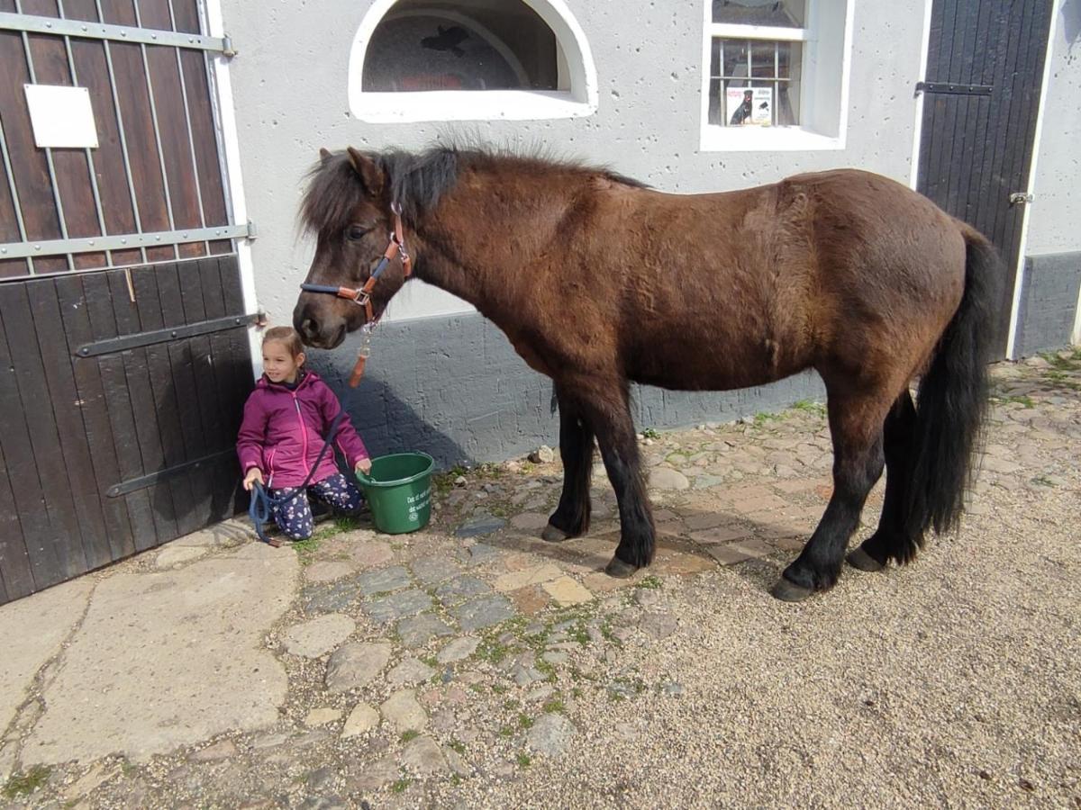 Pferdepension Jaeger Markranstädt Buitenkant foto